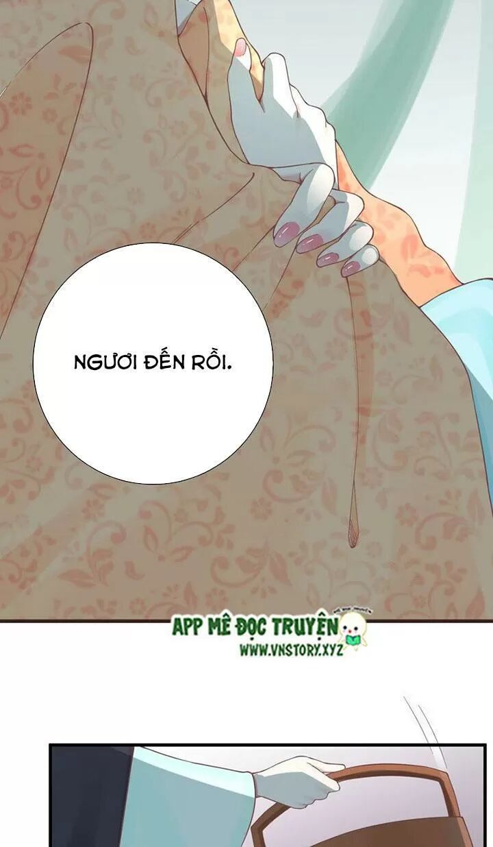 Hoàng Hậu Bận Lắm: Chapter 138: Ban đêm đến thăm lãnh cung