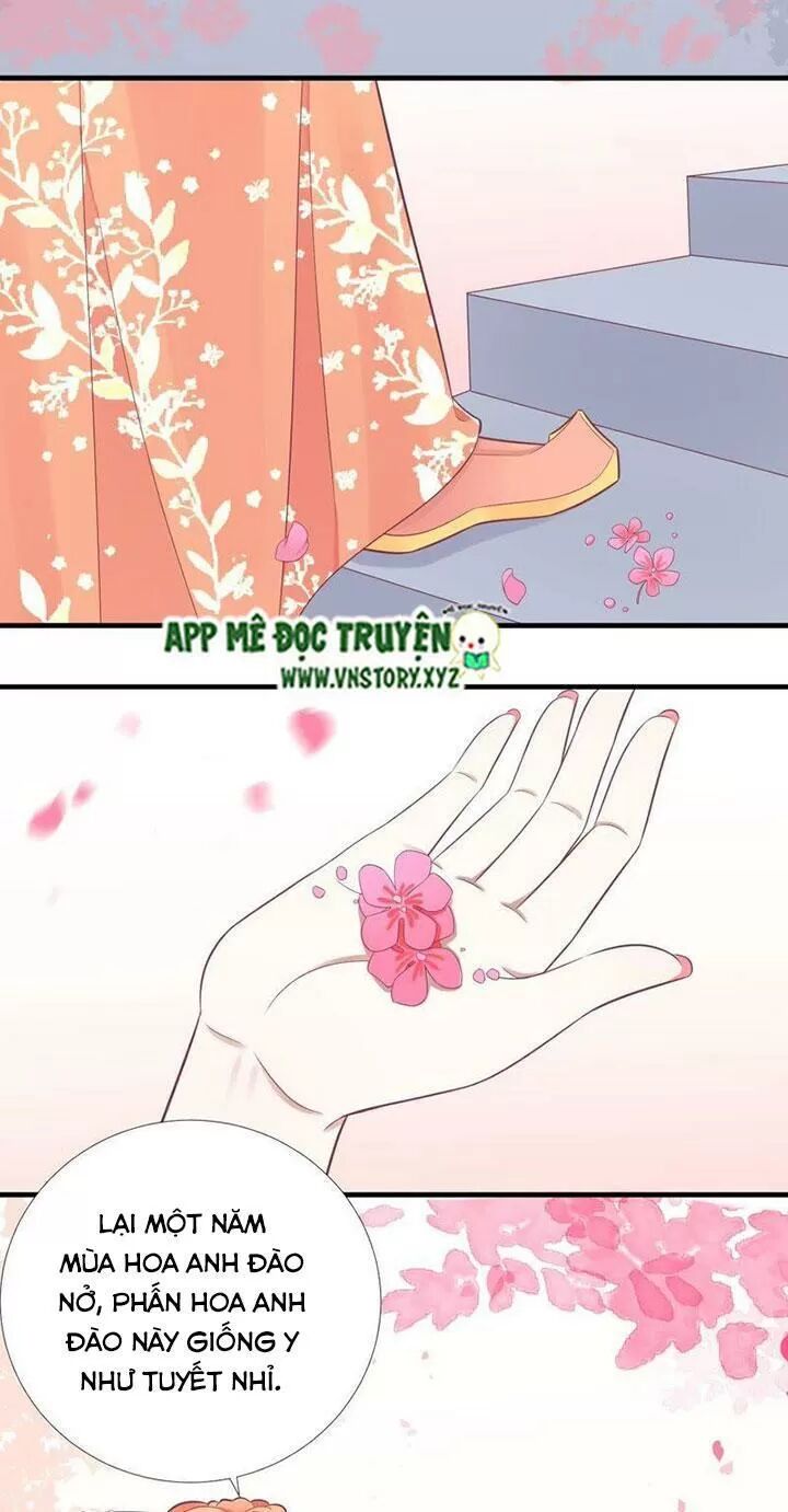 Hoàng Hậu Bận Lắm: Chapter 97: Anh đào phấp phới