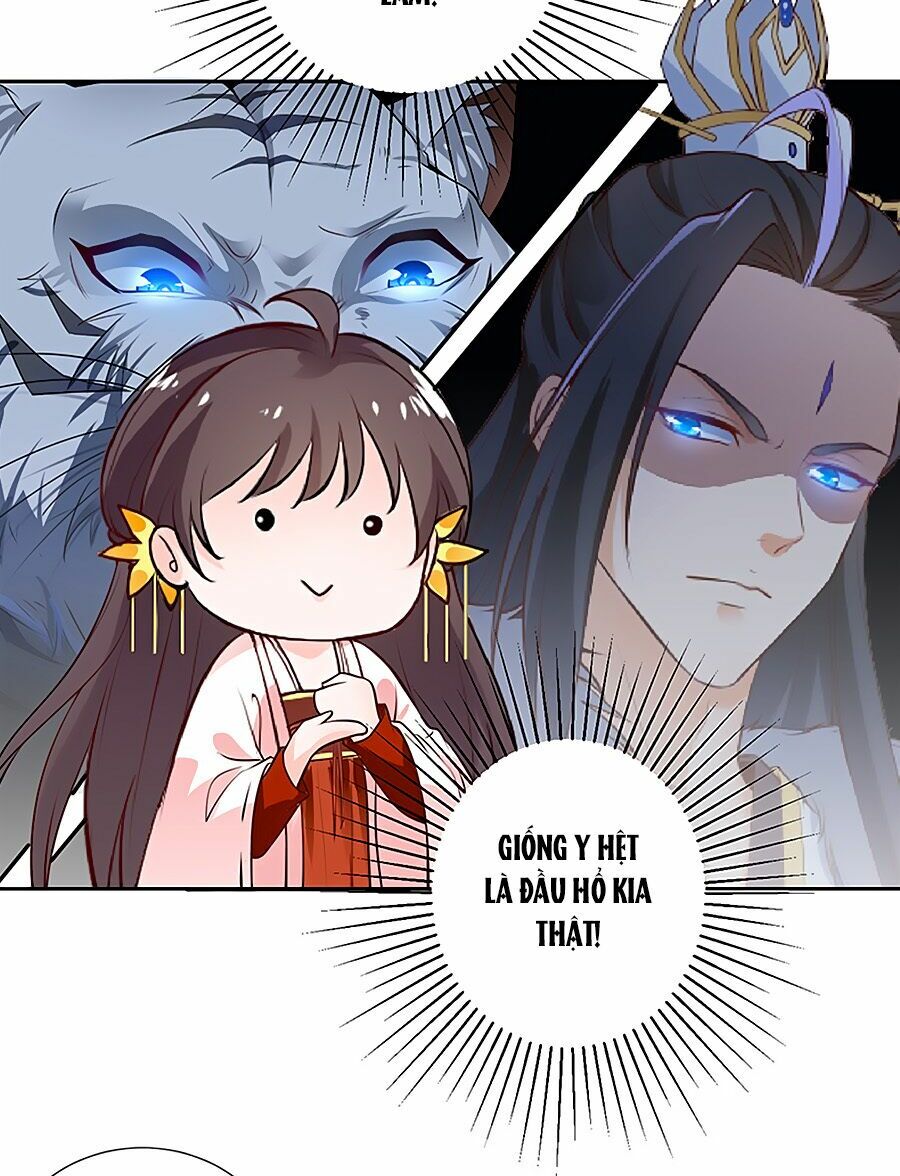 Vương Gia Là Đầu Đại Lão Hổ: Chapter 11