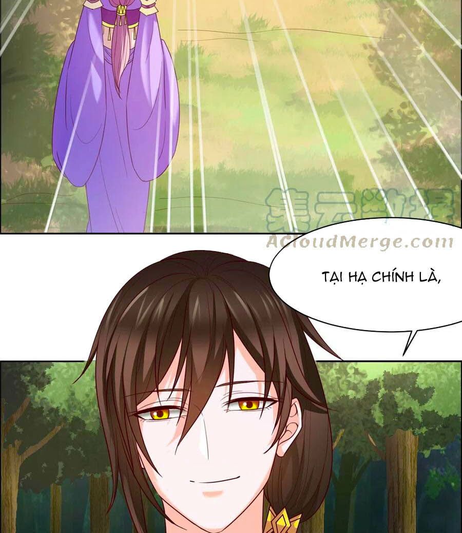 Vương Gia Là Đầu Đại Lão Hổ: Chapter 126