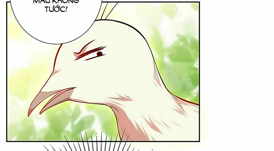 Vương Gia Là Đầu Đại Lão Hổ: Chapter 16