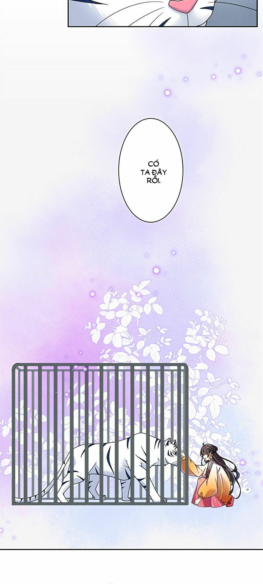 Vương Gia Là Đầu Đại Lão Hổ: Chapter 29