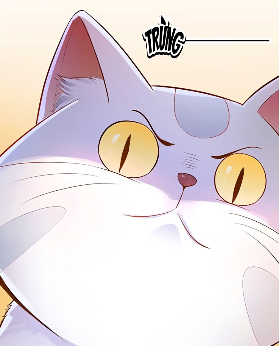 Vương Gia Là Đầu Đại Lão Hổ: Chapter 3