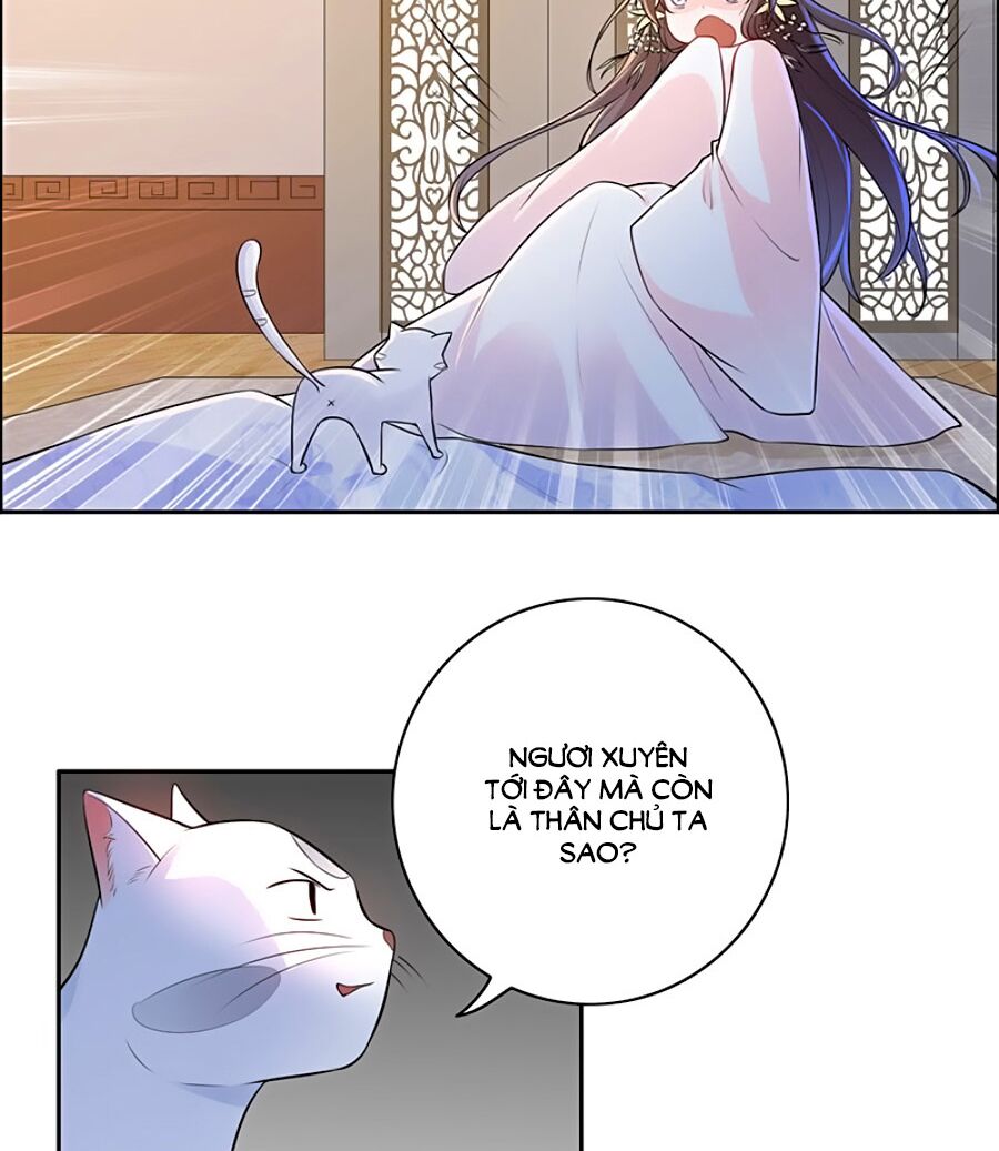 Vương Gia Là Đầu Đại Lão Hổ: Chapter 3