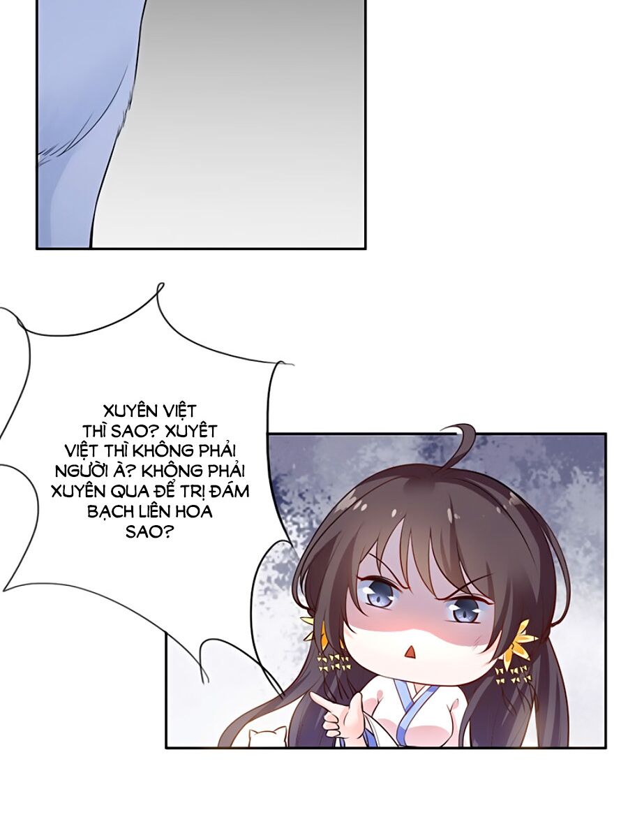 Vương Gia Là Đầu Đại Lão Hổ: Chapter 3