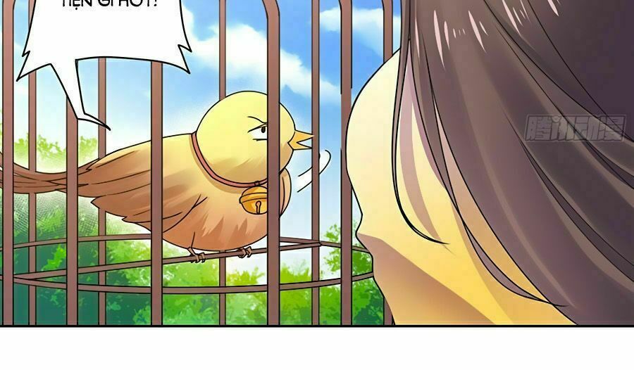 Vương Gia Là Đầu Đại Lão Hổ: Chapter 31