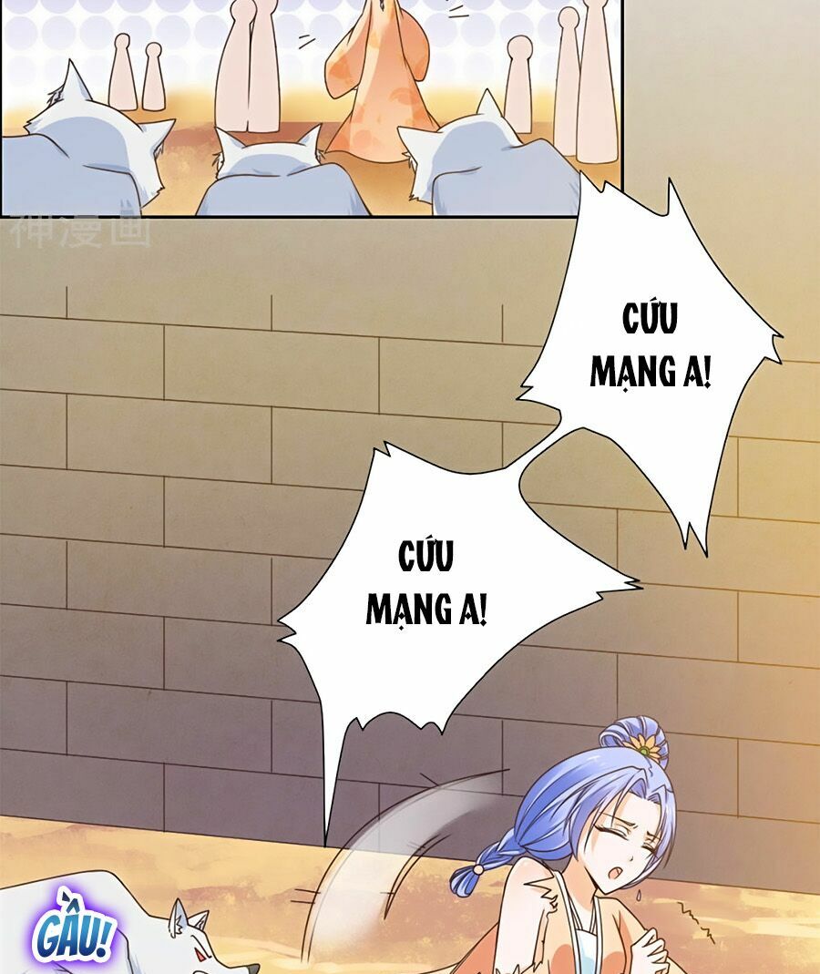 Vương Gia Là Đầu Đại Lão Hổ: Chapter 36