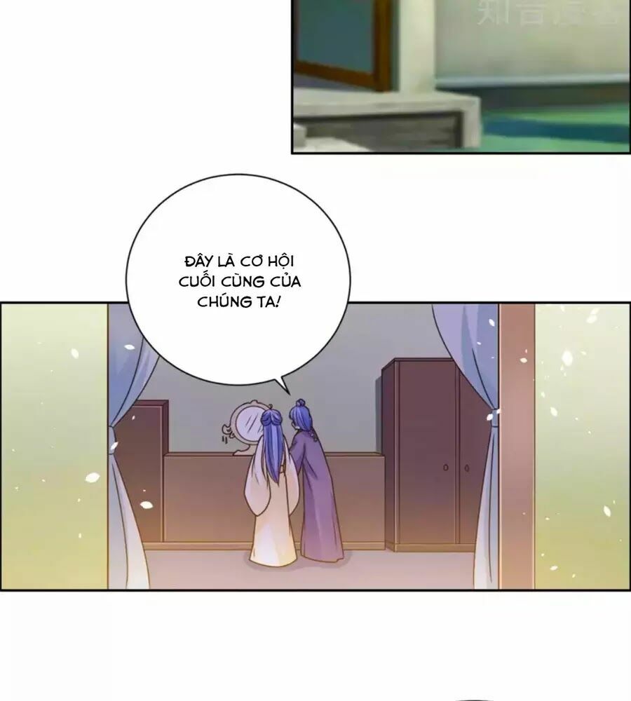 Vương Gia Là Đầu Đại Lão Hổ: Chapter 41