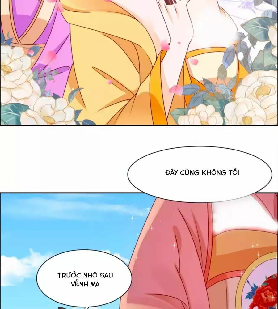 Vương Gia Là Đầu Đại Lão Hổ: Chapter 41