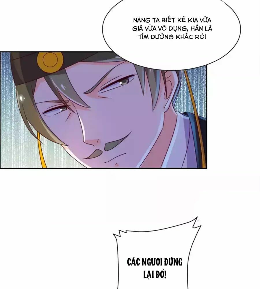 Vương Gia Là Đầu Đại Lão Hổ: Chapter 41