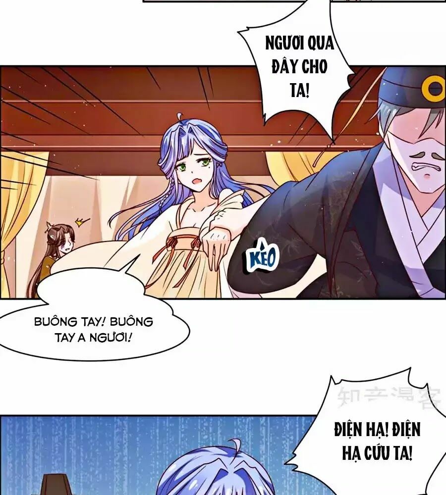 Vương Gia Là Đầu Đại Lão Hổ: Chapter 42