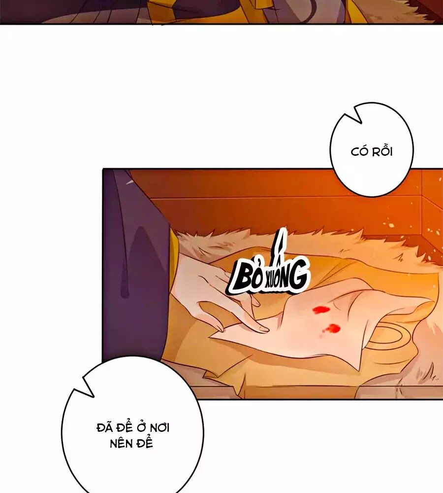 Vương Gia Là Đầu Đại Lão Hổ: Chapter 47