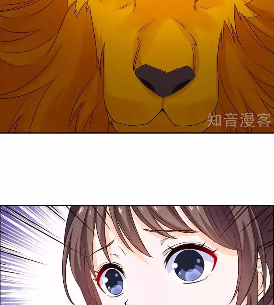Vương Gia Là Đầu Đại Lão Hổ: Chapter 53