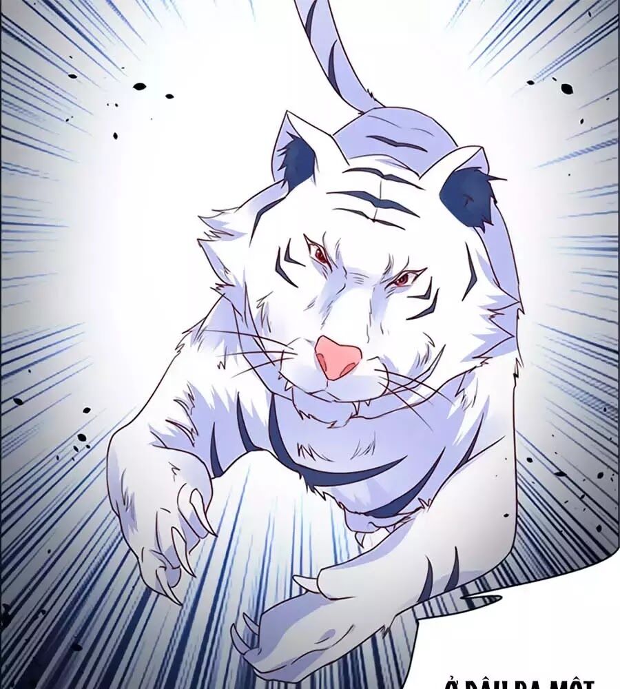 Vương Gia Là Đầu Đại Lão Hổ: Chapter 54