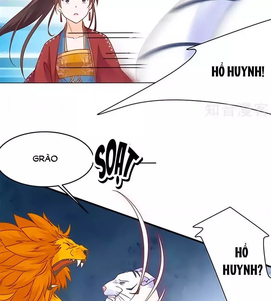 Vương Gia Là Đầu Đại Lão Hổ: Chapter 54