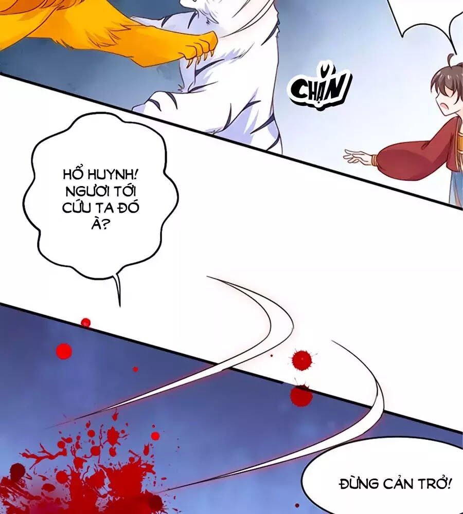 Vương Gia Là Đầu Đại Lão Hổ: Chapter 54