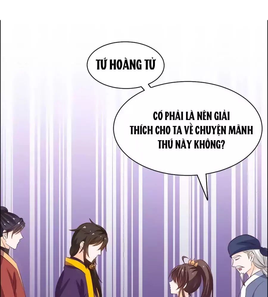 Vương Gia Là Đầu Đại Lão Hổ: Chapter 56
