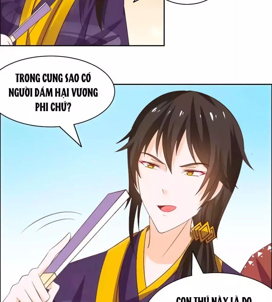 Vương Gia Là Đầu Đại Lão Hổ: Chapter 56
