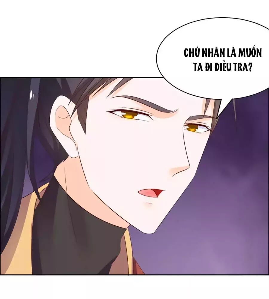 Vương Gia Là Đầu Đại Lão Hổ: Chapter 56