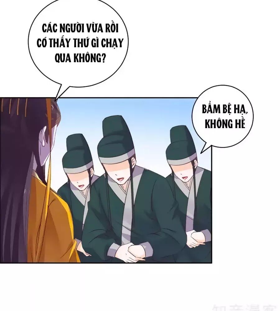 Vương Gia Là Đầu Đại Lão Hổ: Chapter 57