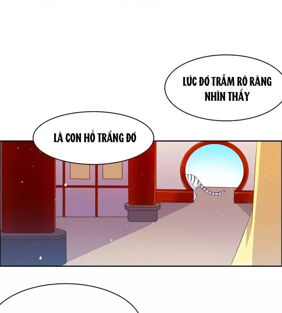Vương Gia Là Đầu Đại Lão Hổ: Chapter 57