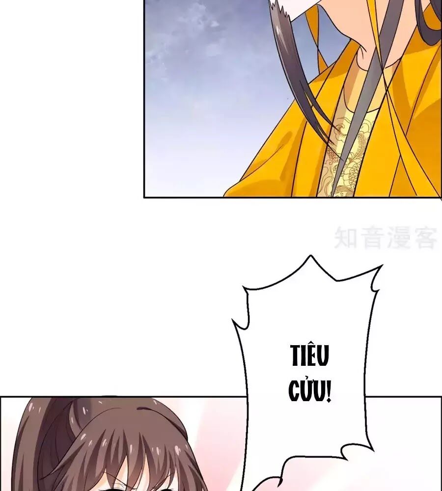 Vương Gia Là Đầu Đại Lão Hổ: Chapter 58