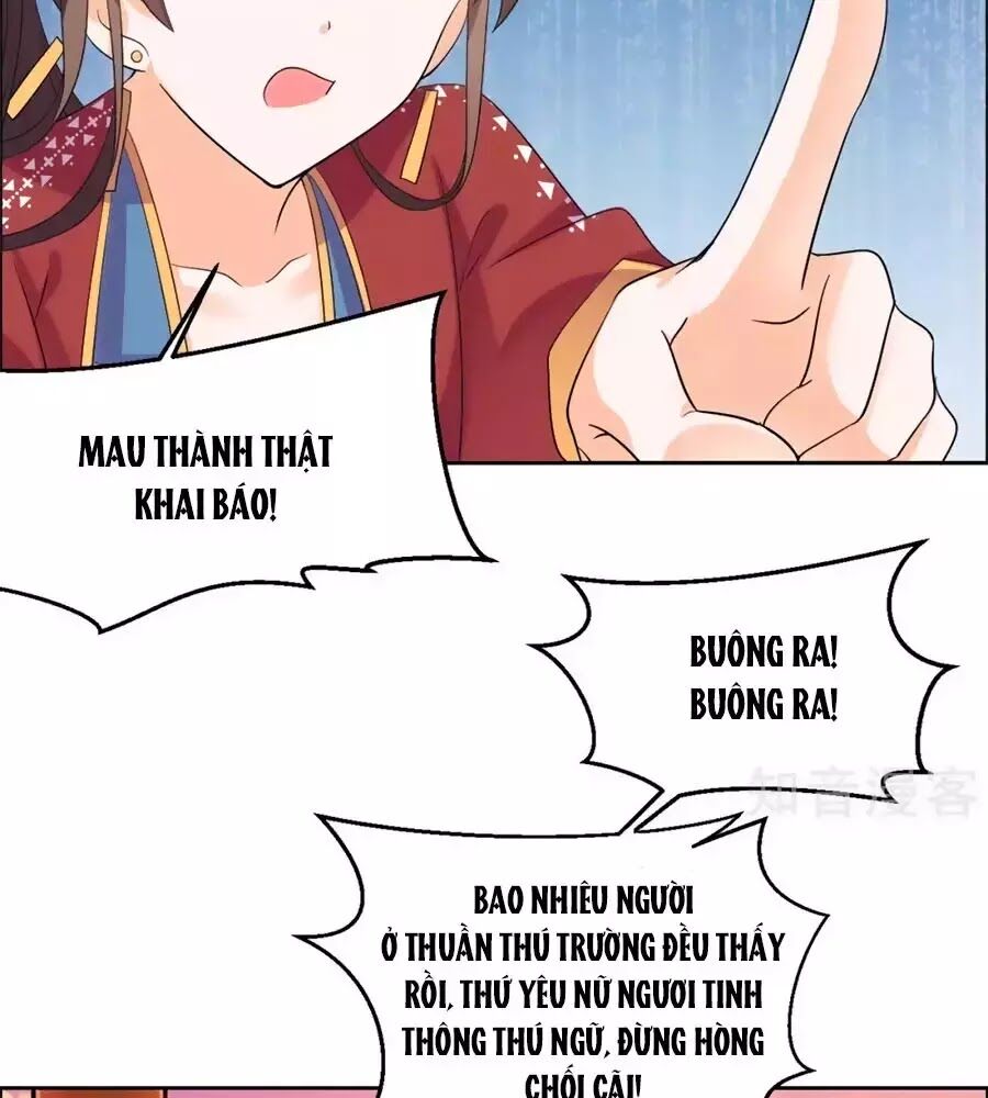 Vương Gia Là Đầu Đại Lão Hổ: Chapter 58