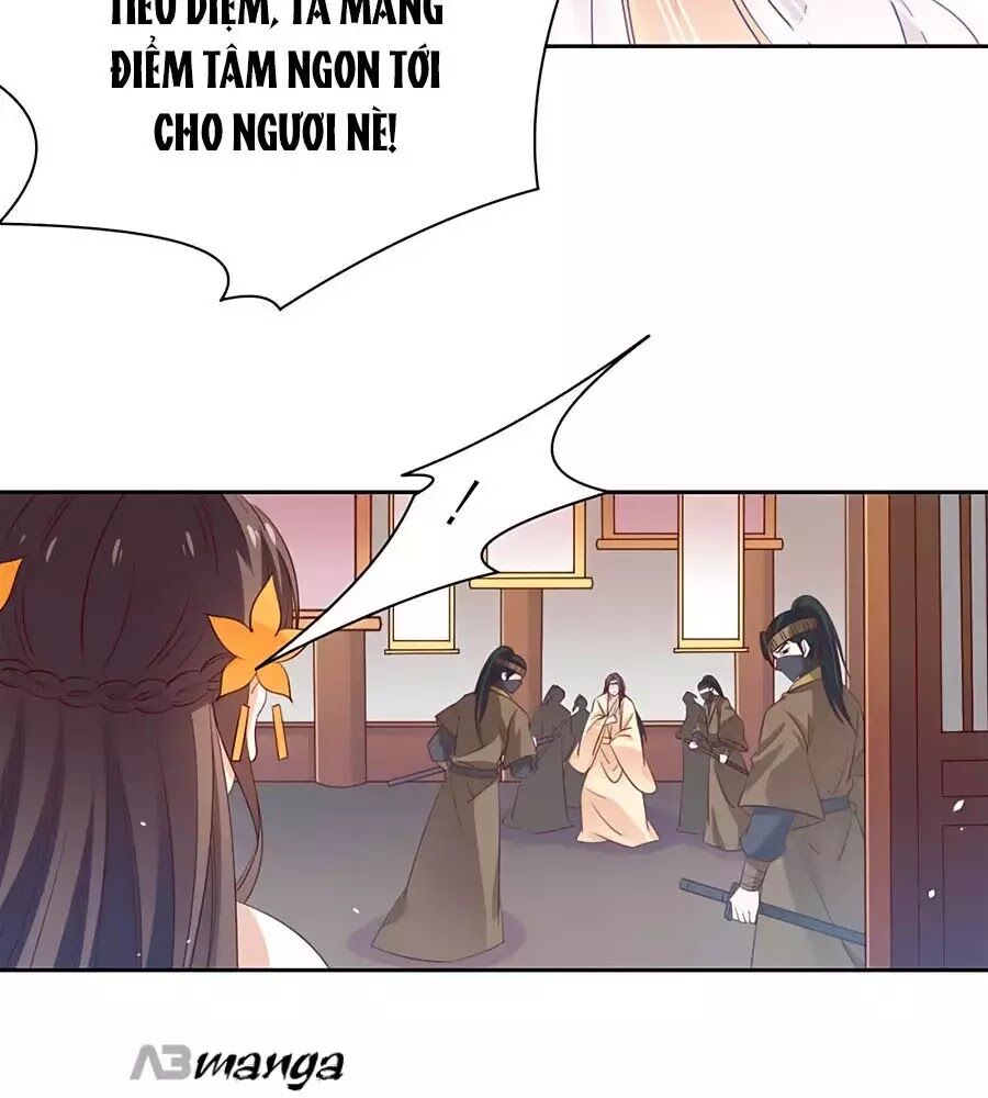 Vương Gia Là Đầu Đại Lão Hổ: Chapter 61
