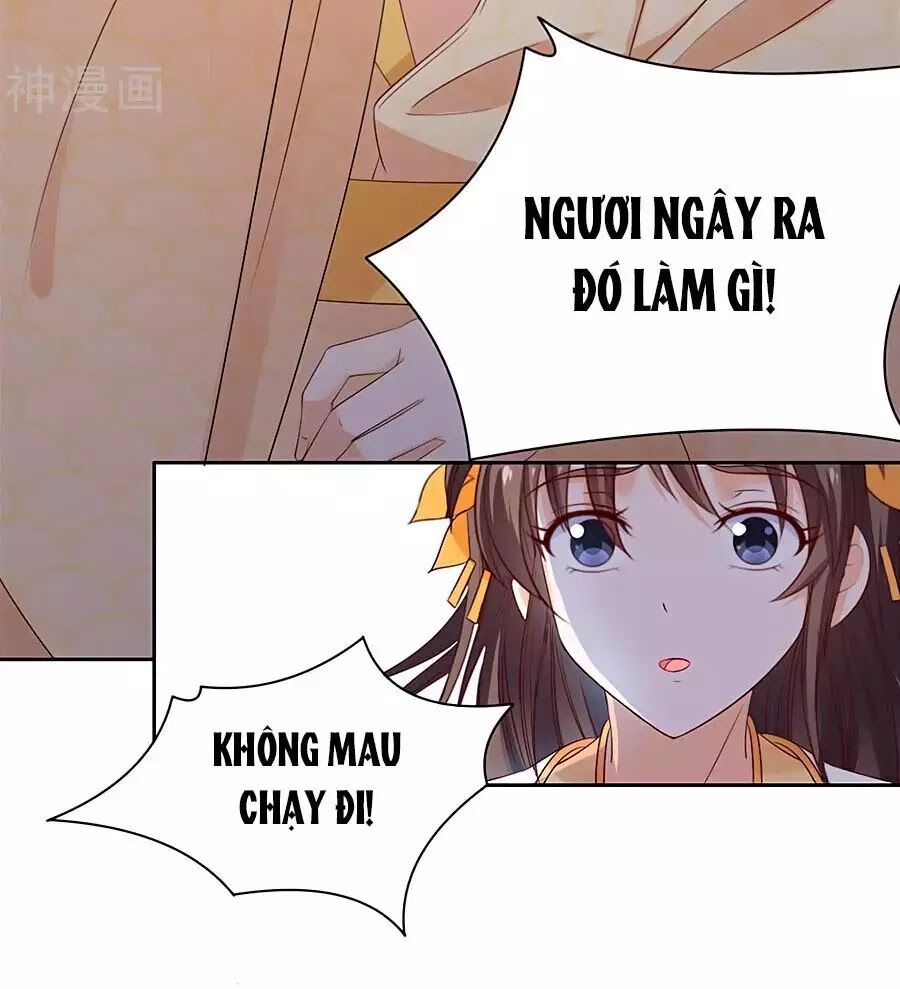 Vương Gia Là Đầu Đại Lão Hổ: Chapter 61