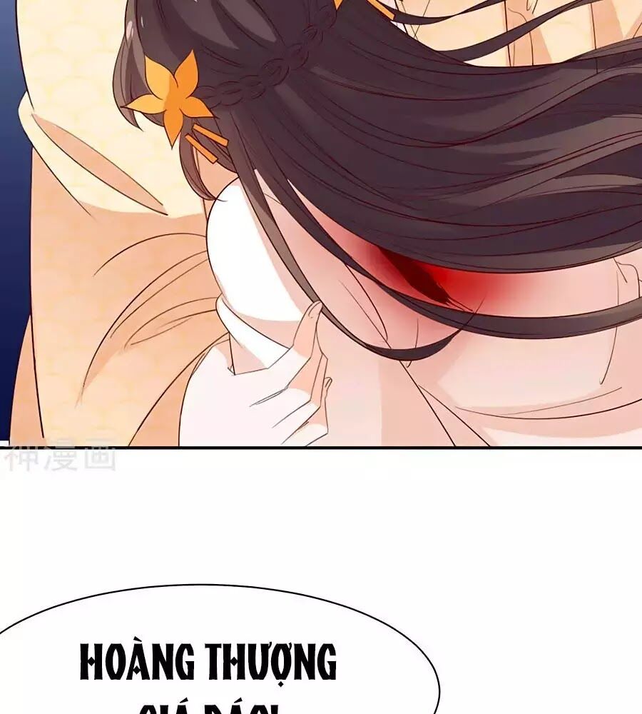 Vương Gia Là Đầu Đại Lão Hổ: Chapter 61