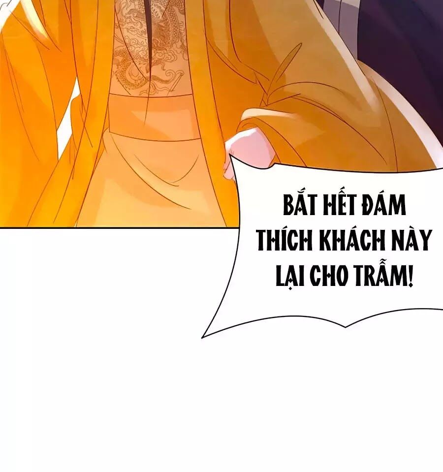 Vương Gia Là Đầu Đại Lão Hổ: Chapter 61
