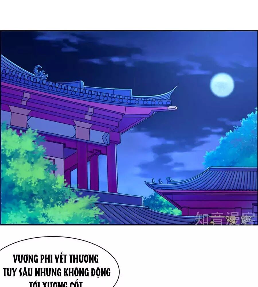 Vương Gia Là Đầu Đại Lão Hổ: Chapter 62