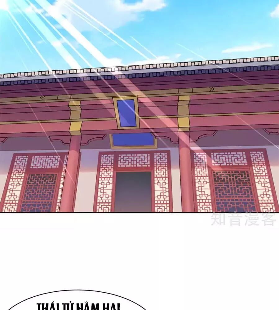 Vương Gia Là Đầu Đại Lão Hổ: Chapter 62