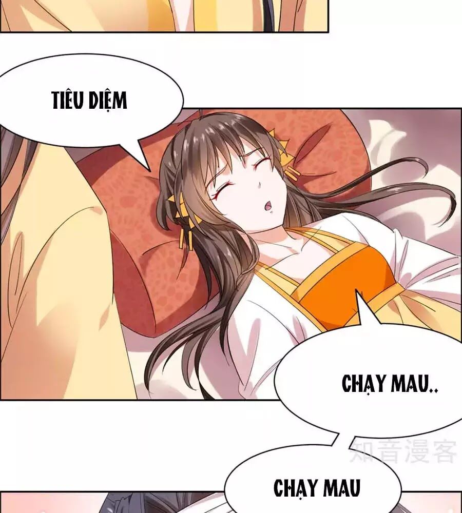 Vương Gia Là Đầu Đại Lão Hổ: Chapter 62