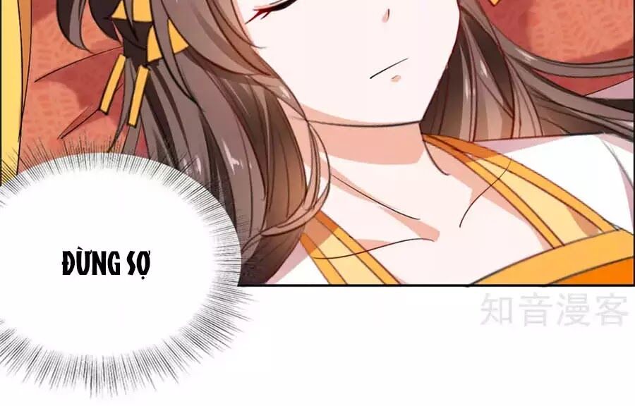 Vương Gia Là Đầu Đại Lão Hổ: Chapter 62