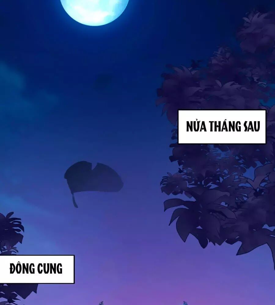 Vương Gia Là Đầu Đại Lão Hổ: Chapter 63