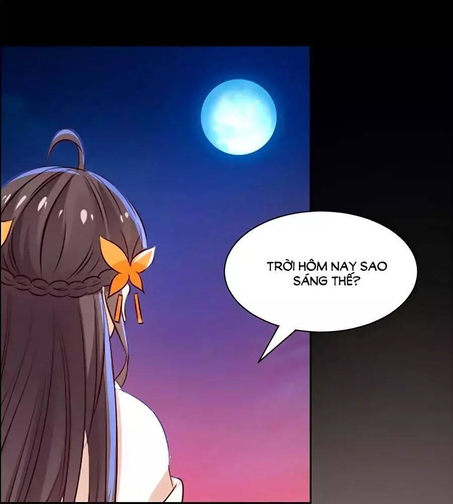 Vương Gia Là Đầu Đại Lão Hổ: Chapter 64
