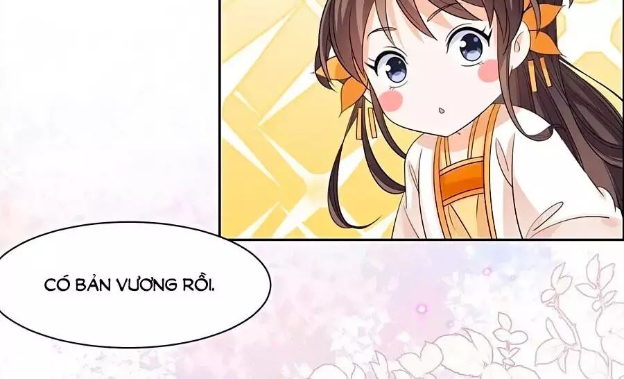 Vương Gia Là Đầu Đại Lão Hổ: Chapter 64