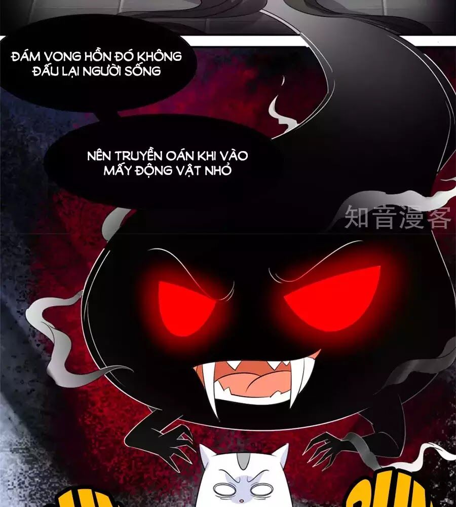 Vương Gia Là Đầu Đại Lão Hổ: Chapter 67