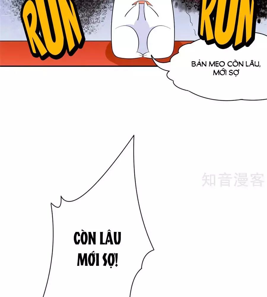 Vương Gia Là Đầu Đại Lão Hổ: Chapter 67