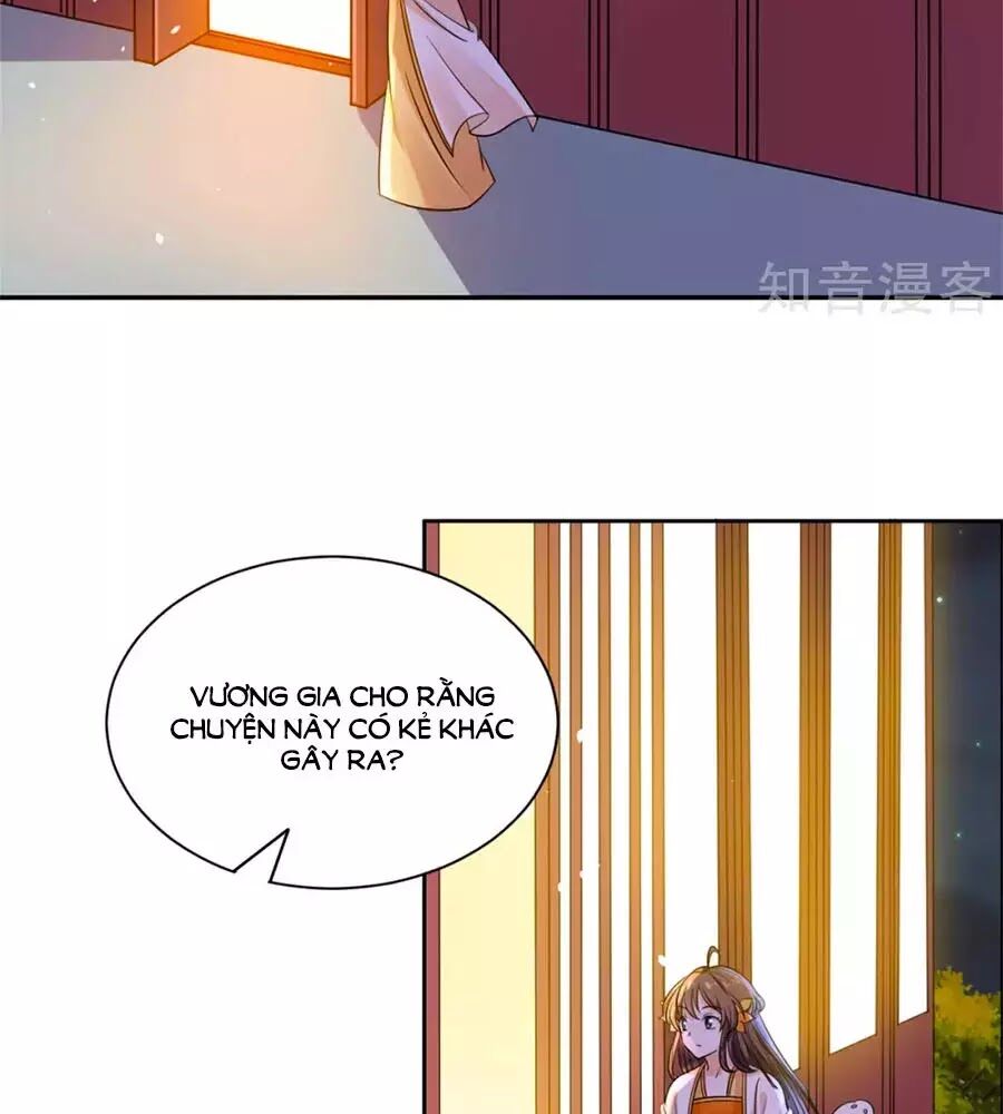 Vương Gia Là Đầu Đại Lão Hổ: Chapter 67