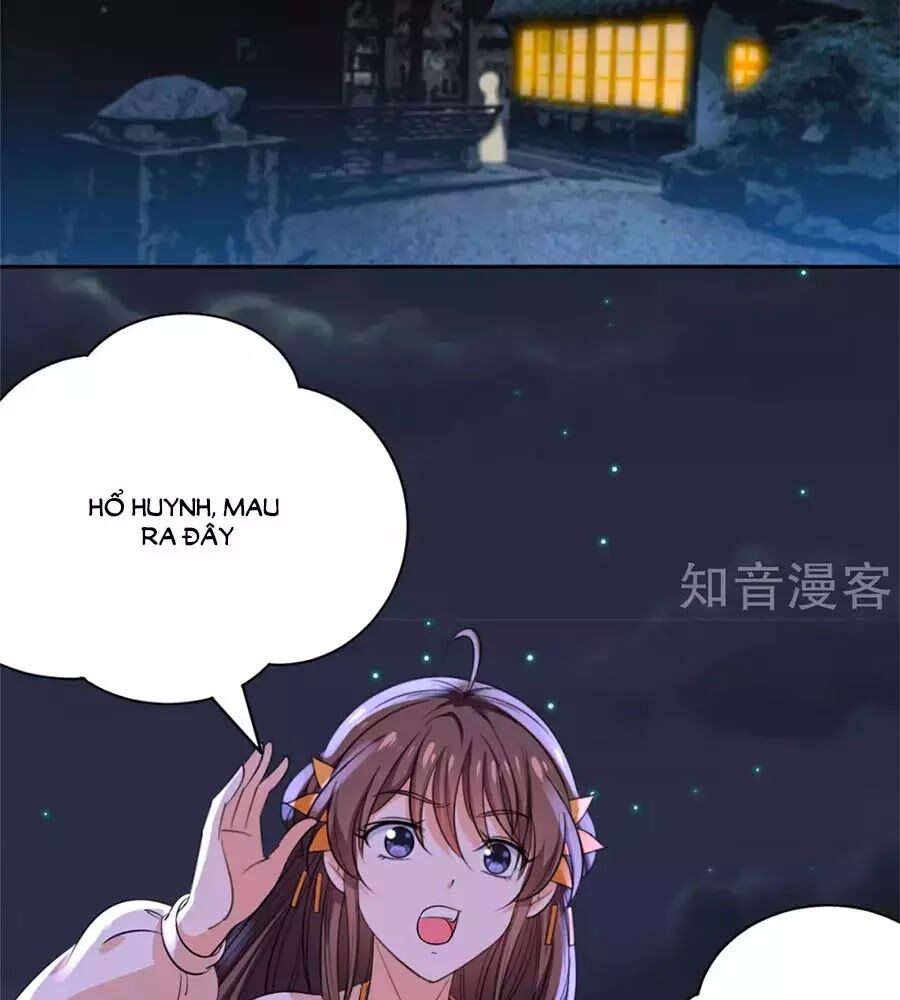 Vương Gia Là Đầu Đại Lão Hổ: Chapter 67