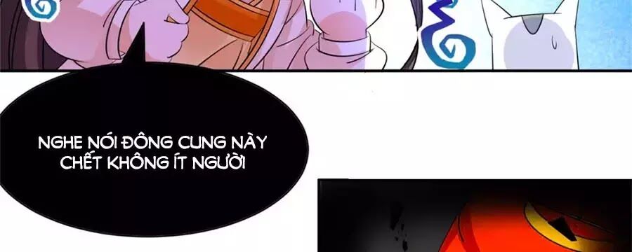 Vương Gia Là Đầu Đại Lão Hổ: Chapter 67