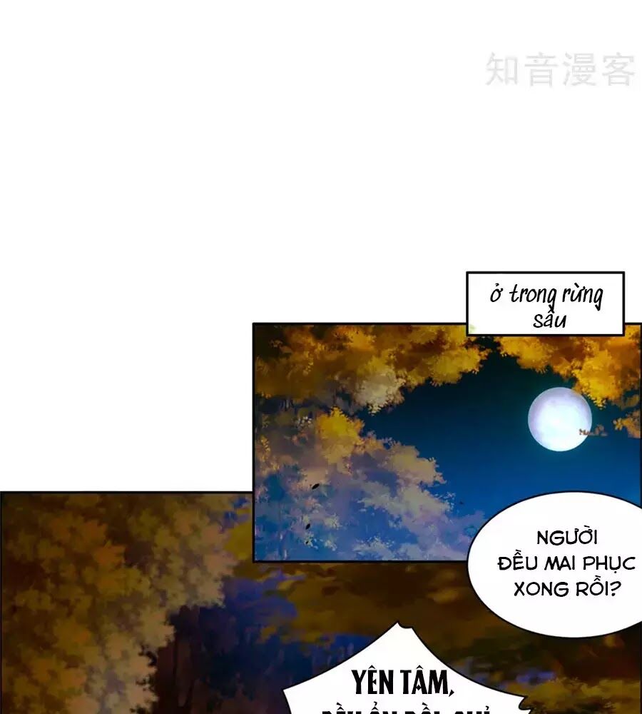 Vương Gia Là Đầu Đại Lão Hổ: Chapter 68