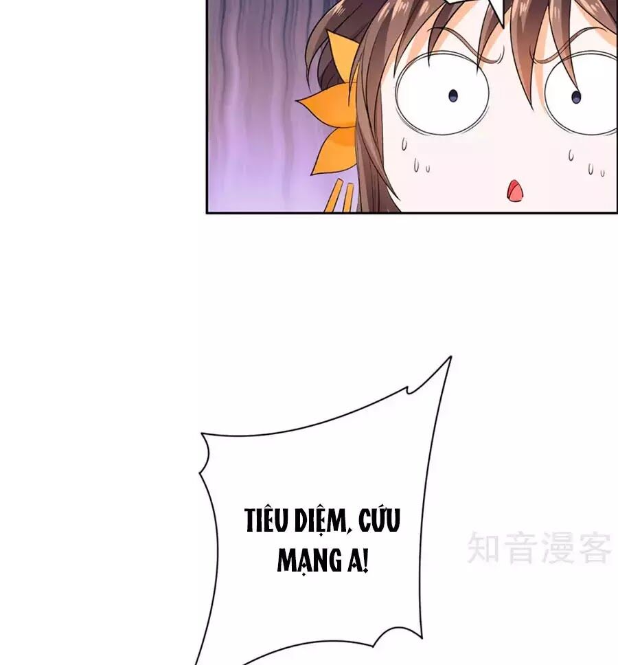 Vương Gia Là Đầu Đại Lão Hổ: Chapter 68