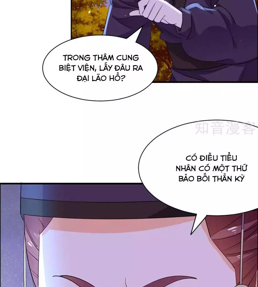 Vương Gia Là Đầu Đại Lão Hổ: Chapter 68