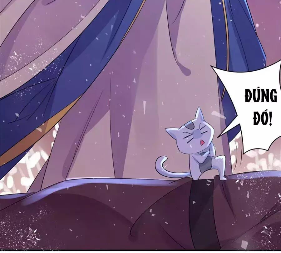 Vương Gia Là Đầu Đại Lão Hổ: Chapter 68