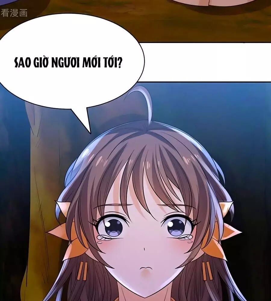 Vương Gia Là Đầu Đại Lão Hổ: Chapter 69