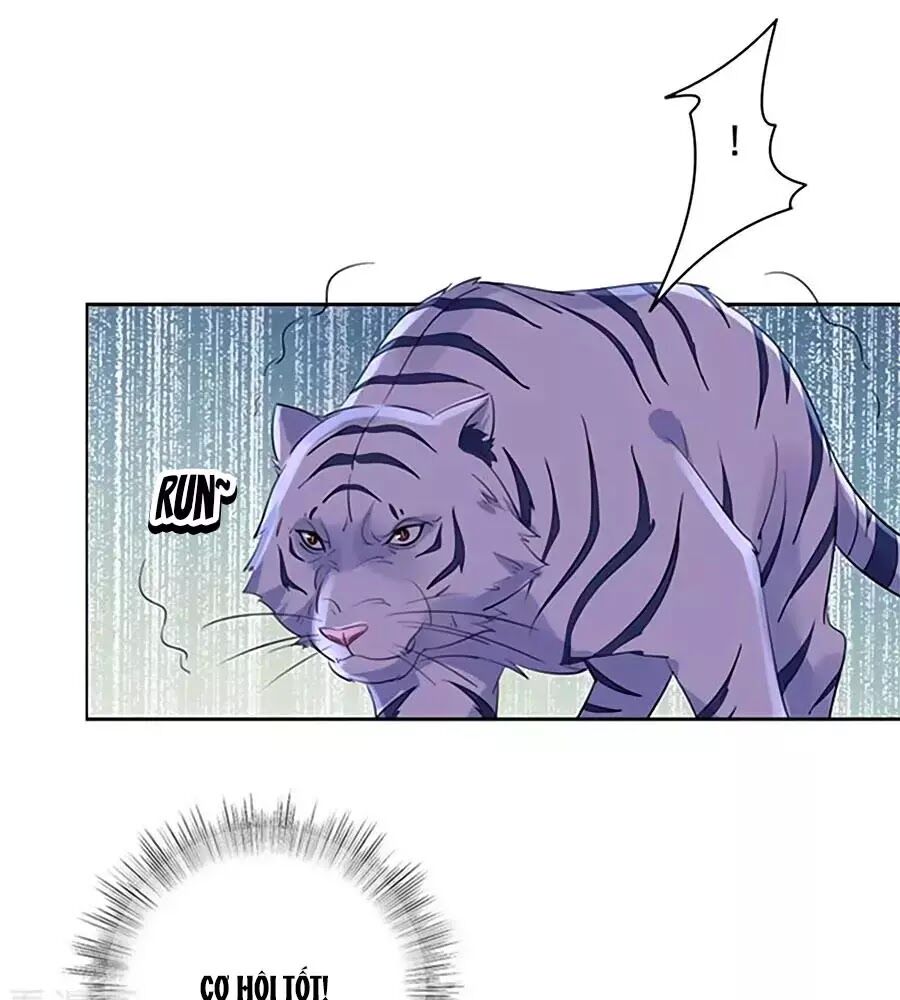 Vương Gia Là Đầu Đại Lão Hổ: Chapter 71