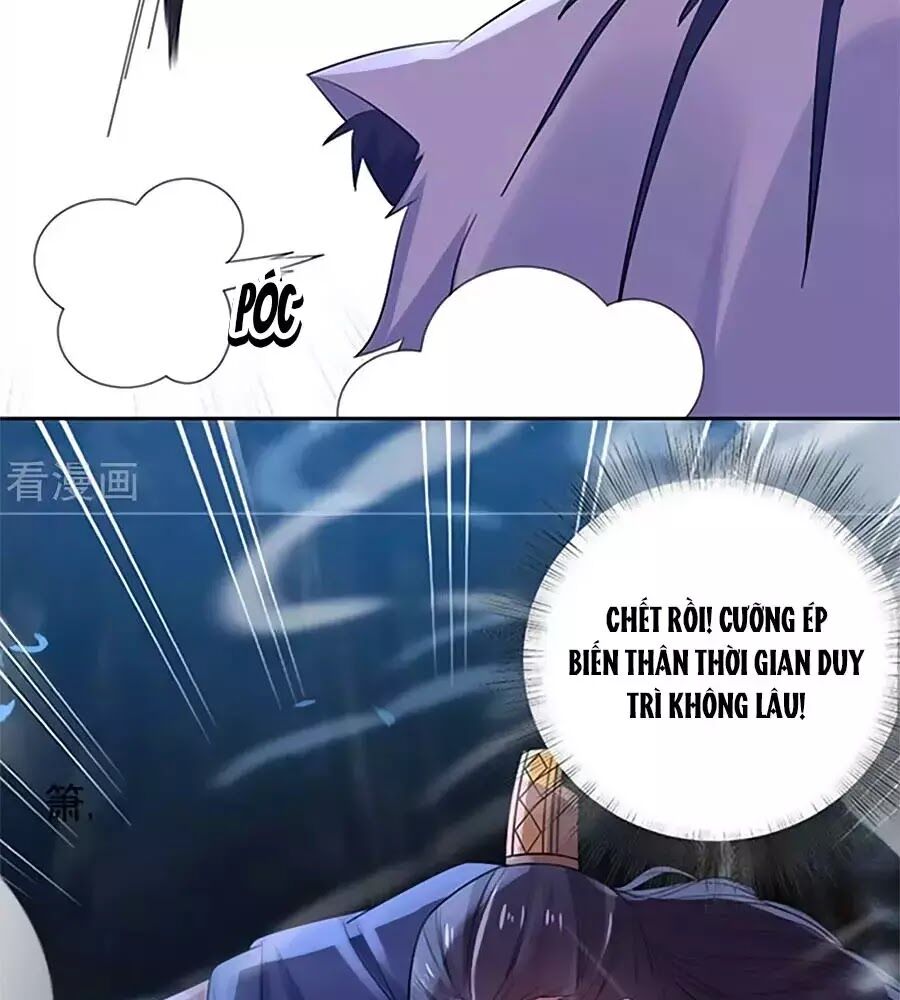 Vương Gia Là Đầu Đại Lão Hổ: Chapter 71